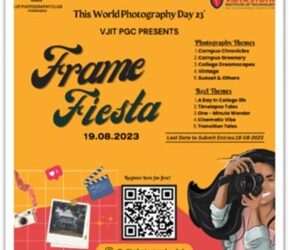 Frame Fiesta