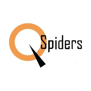 Q Spiders